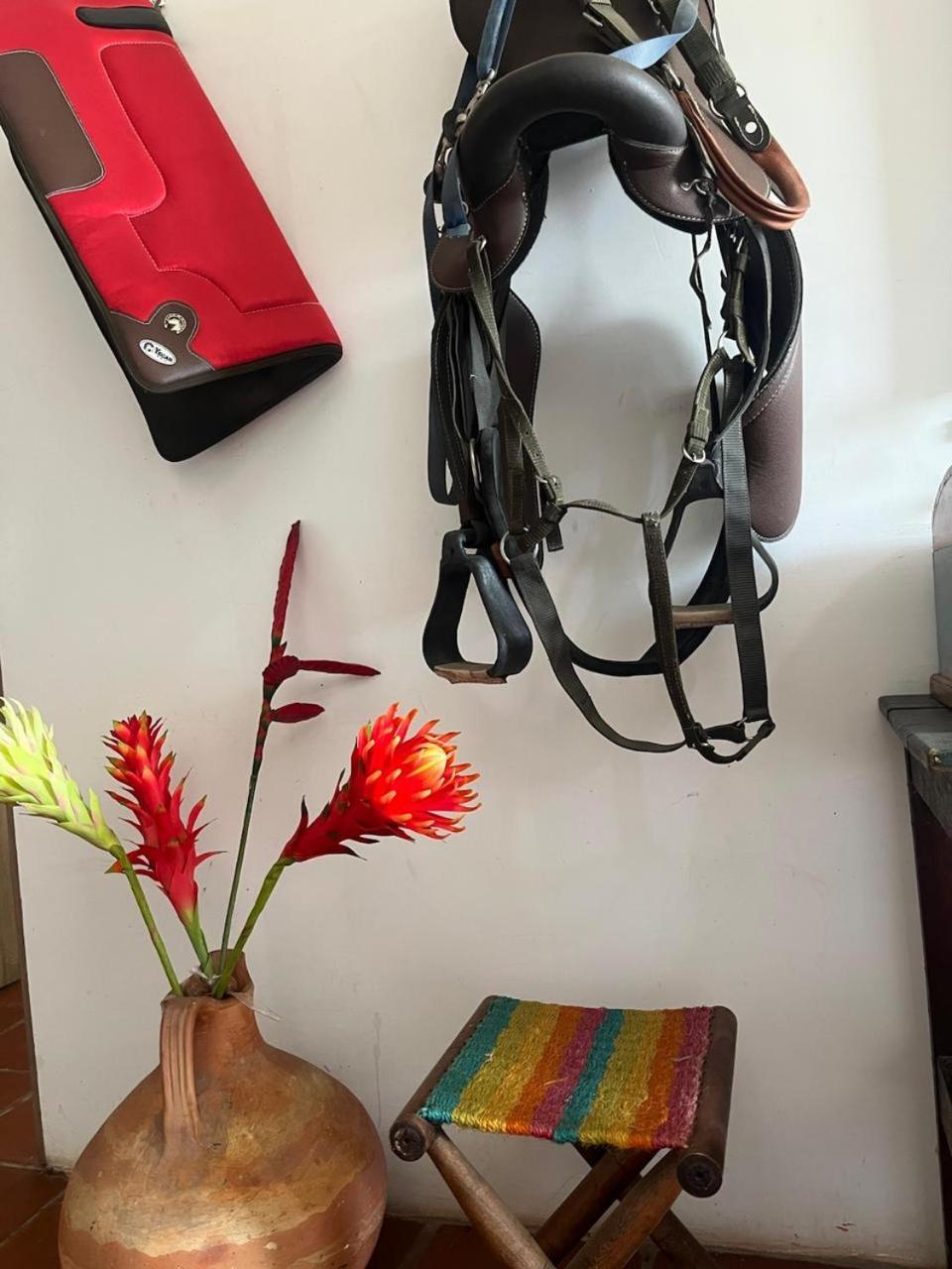 La Casona Llanera Bed & Breakfast San Martin  Luaran gambar
